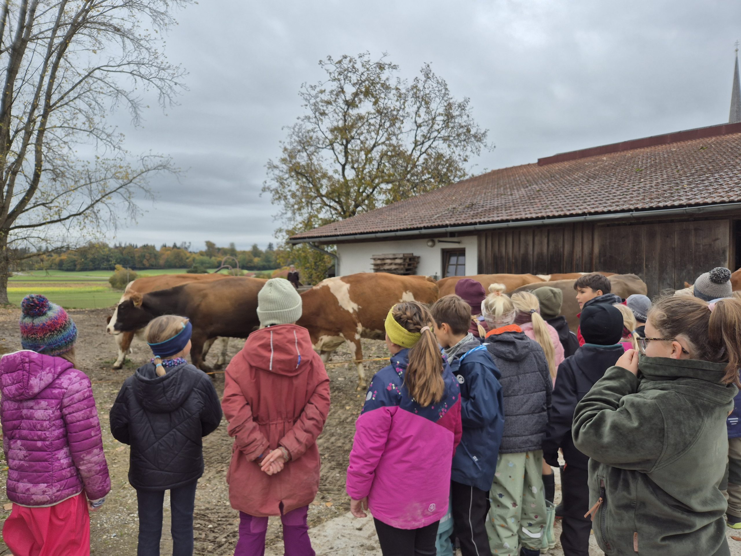 4.Klasse auf dem Bauernhof