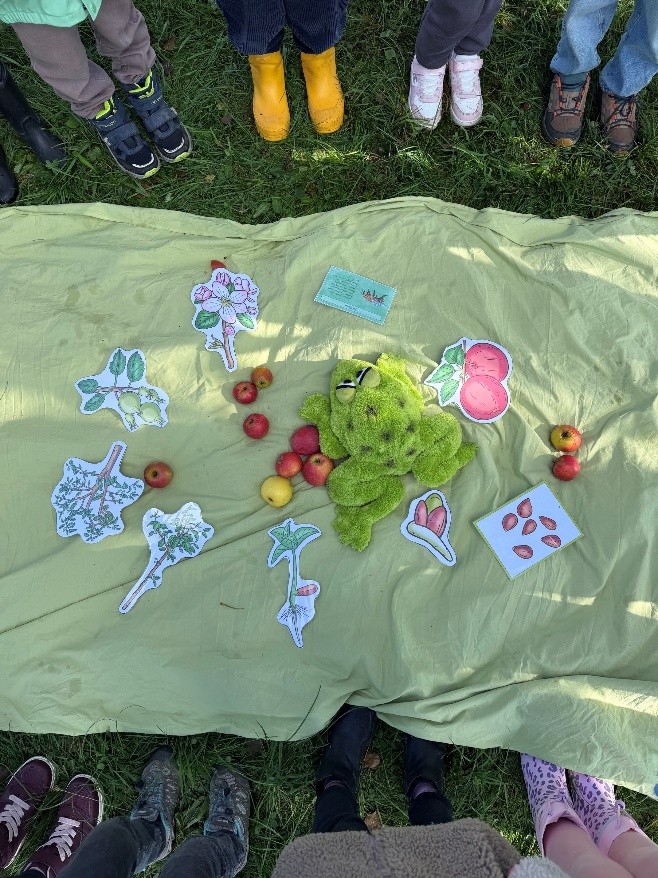 Ersten Klassen auf der Streuobstwiese